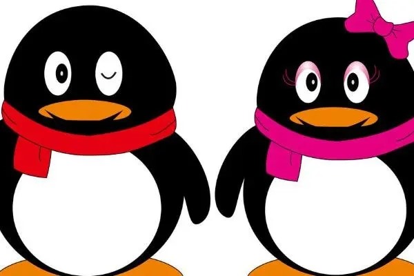 qq靓号是不是只要一直开会员就能一直用？